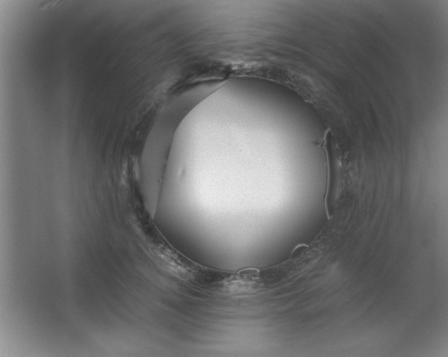 X0000064060756200602101530