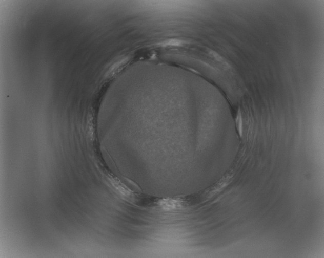 X0000064060762200602101530