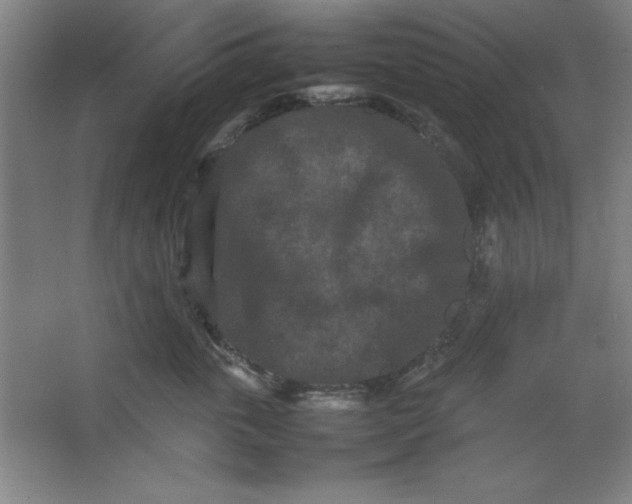 X0000064060763200602101530