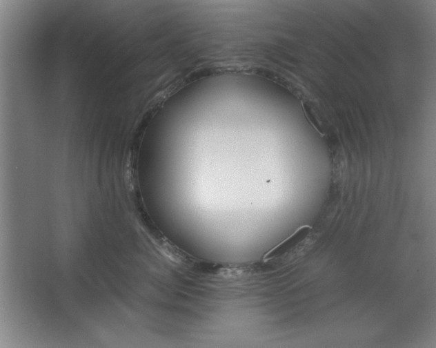 X0000064060764200602101530