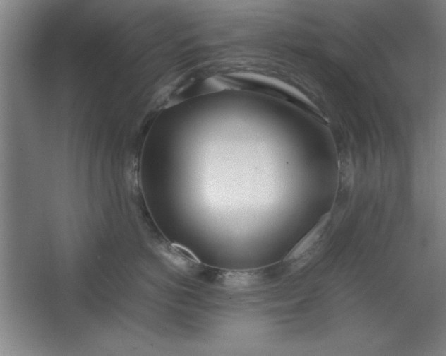 X0000064060766200602101530