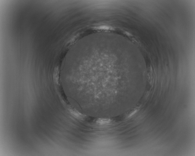 X0000064060767200602101530