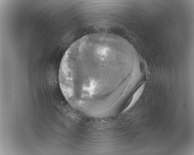 X0000064060772200602101529