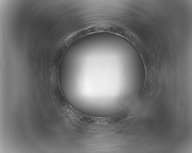 X0000064060773200602101529