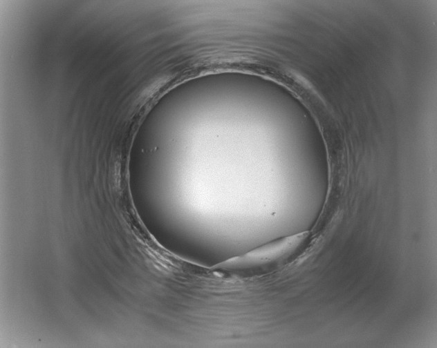 X0000064060777200602101529