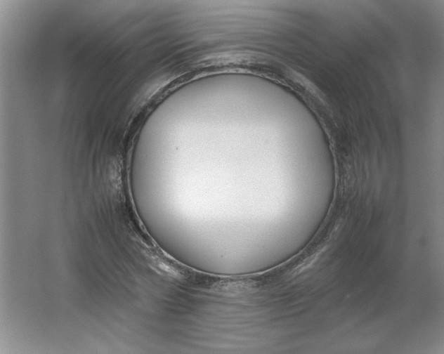 X0000064060778200602101529