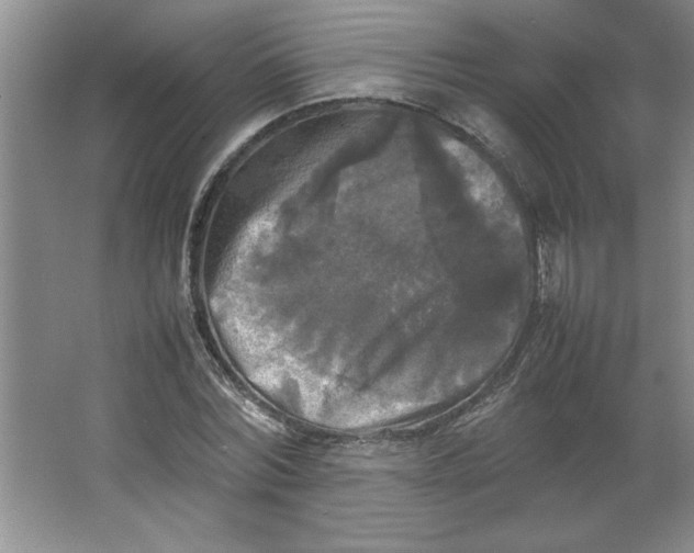 X0000064060780200602101529