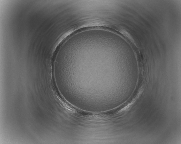X0000064060781200602101529