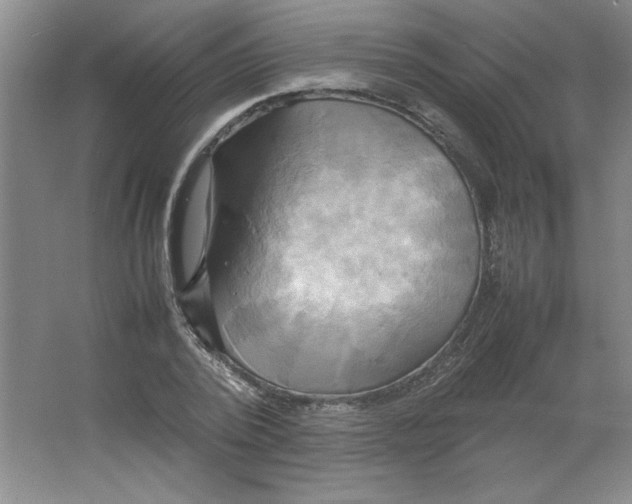 X0000064060784200602101529