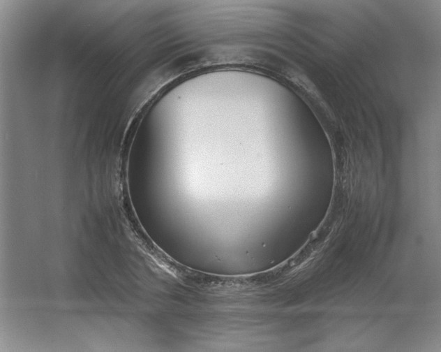 X0000064060786200602101529