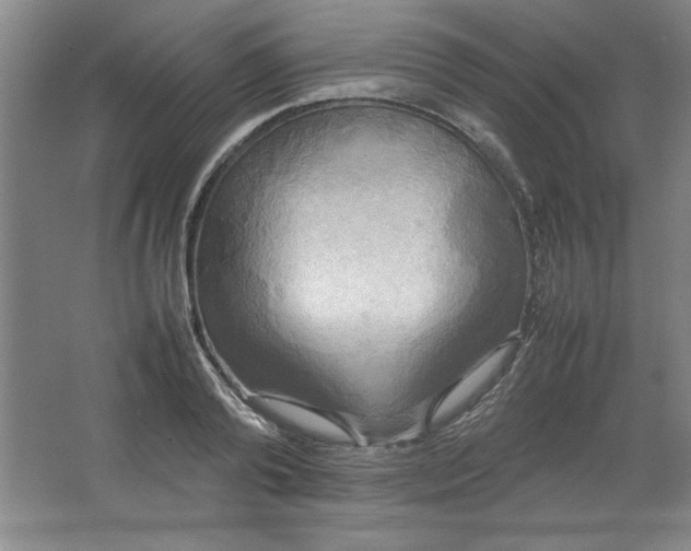 X0000064060792200602101529