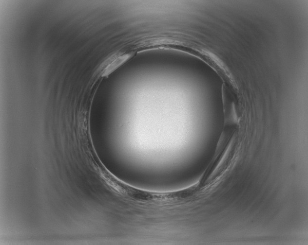 X0000064060793200602101529