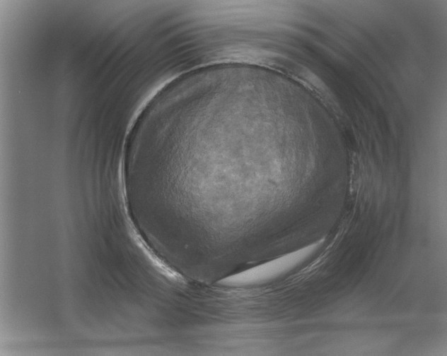 X0000064060796200602101529