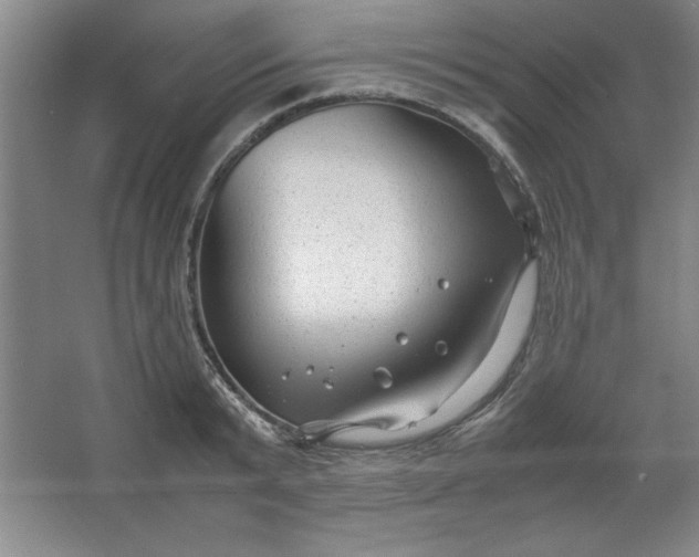 X0000064060799200602101529