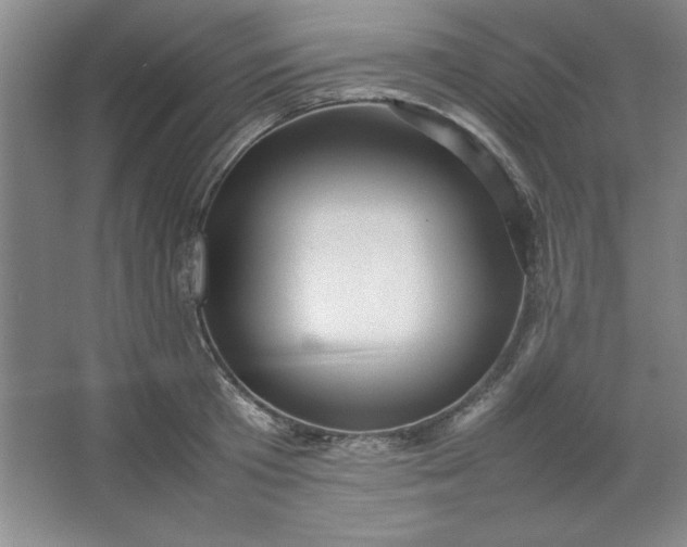 X0000064060801200602101529
