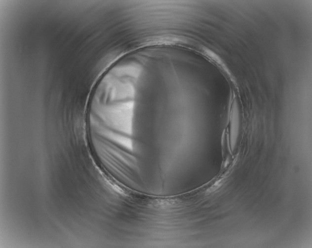 X0000064060802200602101529