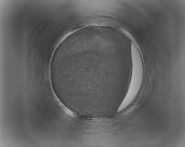 X0000064060803200602101529