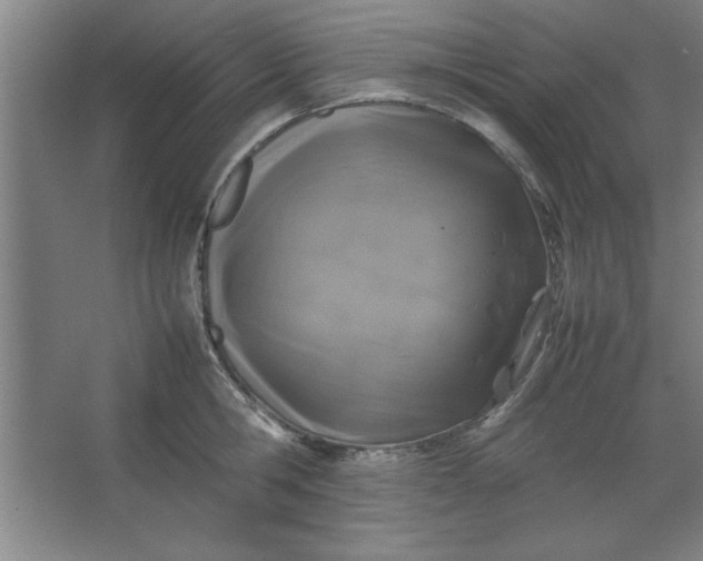 X0000064060806200602101529