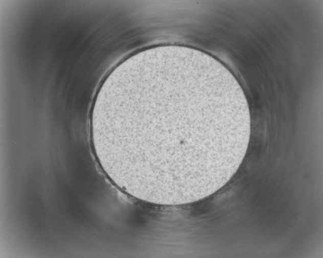 X0000064060807200602101529