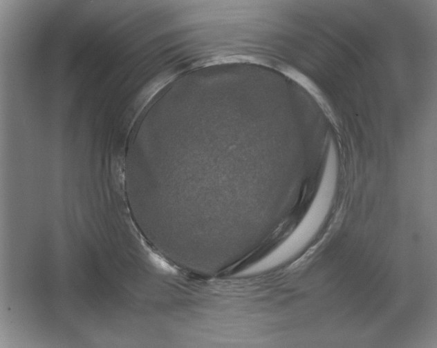 X0000064060809200602101529