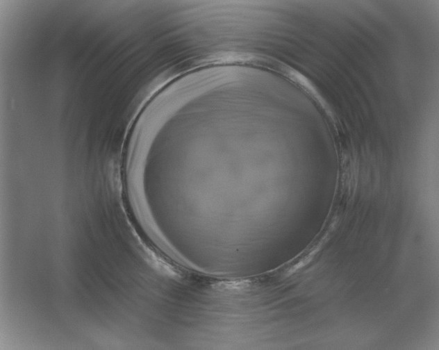 X0000064060810200602101529