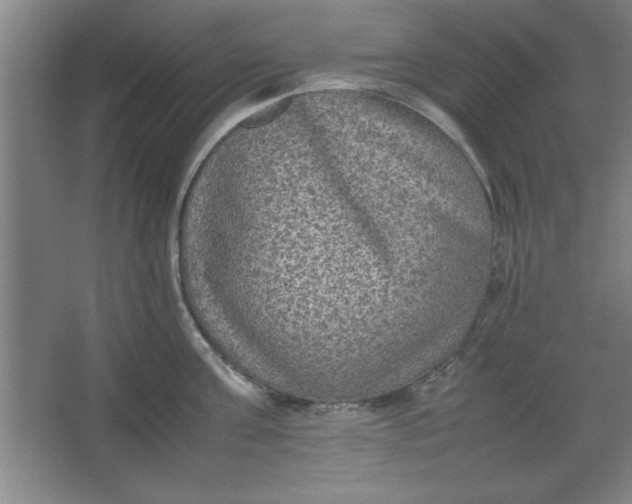 X0000064060811200602101529