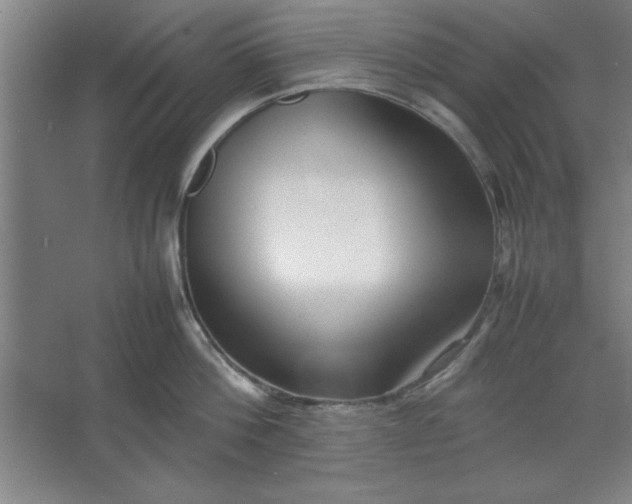 X0000064060812200602101529