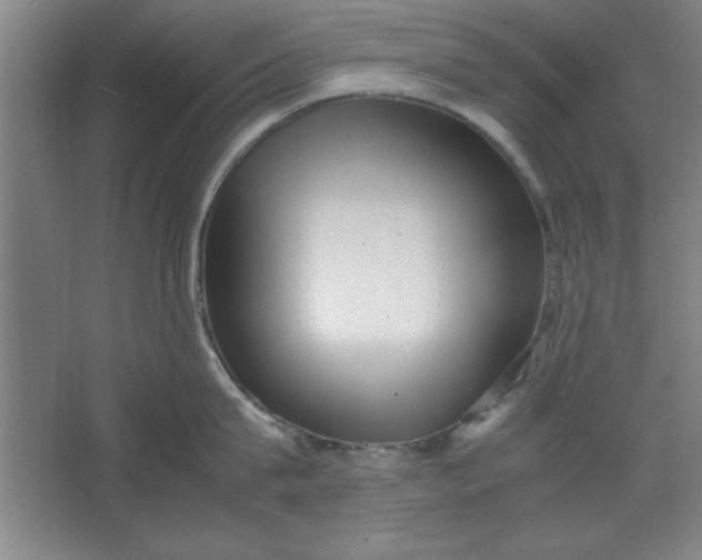 X0000064060815200602101528