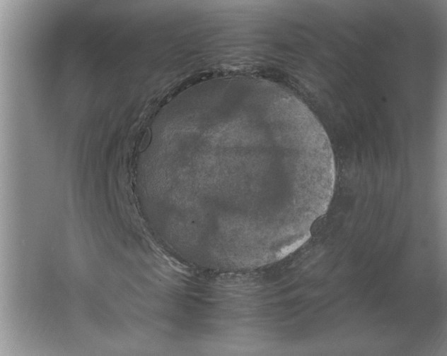 X0000064060817200602101528