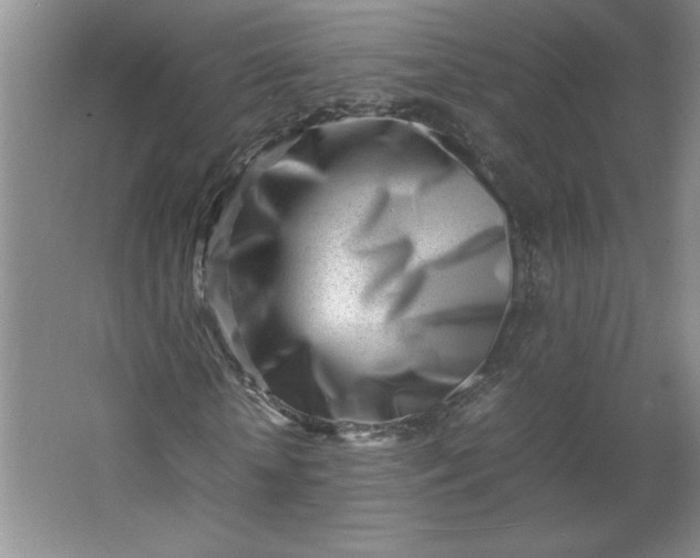 X0000064060818200602101528