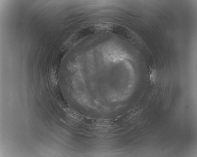 X0000064060819200602101528