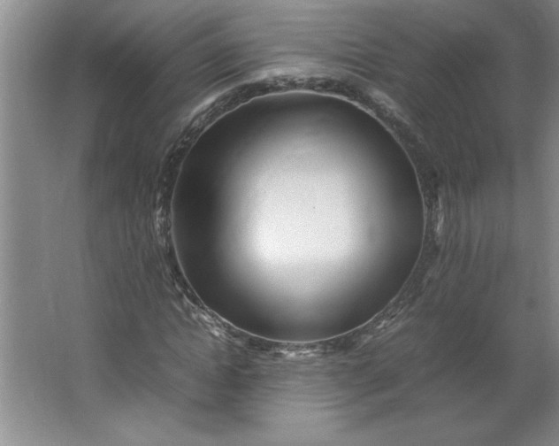 X0000064060822200602101528