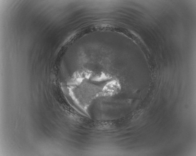 X0000064060823200602101528