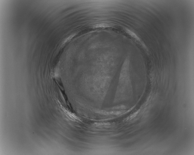X0000064060825200602101528