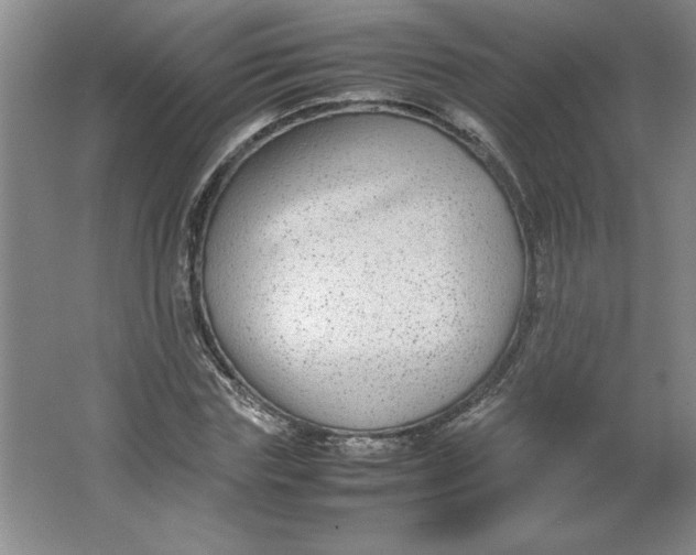 X0000064060827200602101528