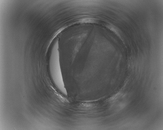 X0000064060829200602101528