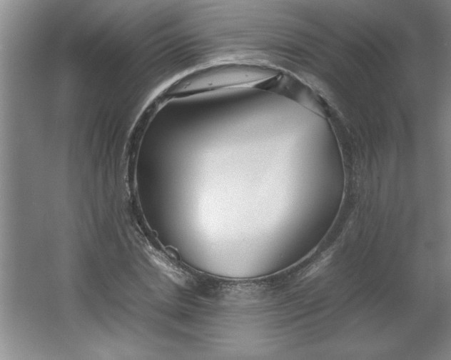 X0000064060830200602101528