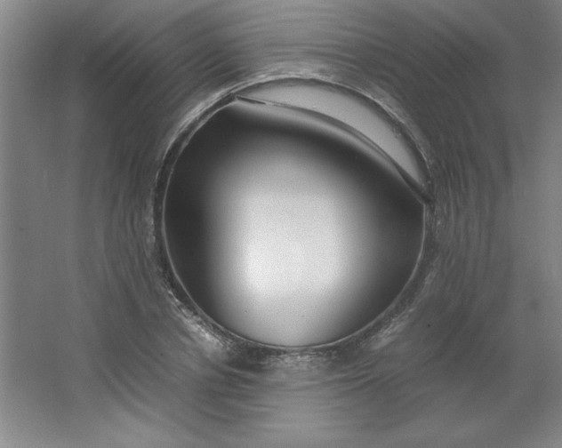 X0000064060834200602101528