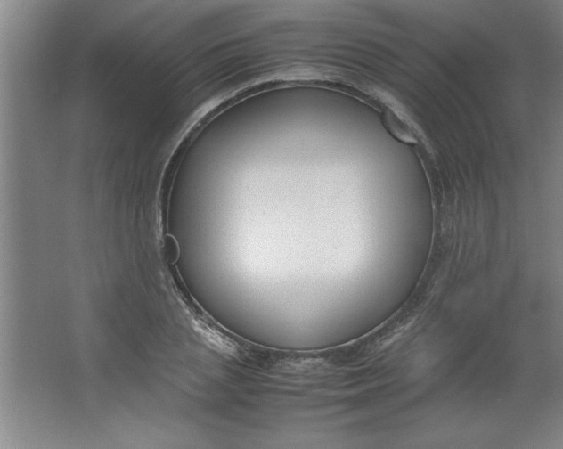 X0000064060837200602101528