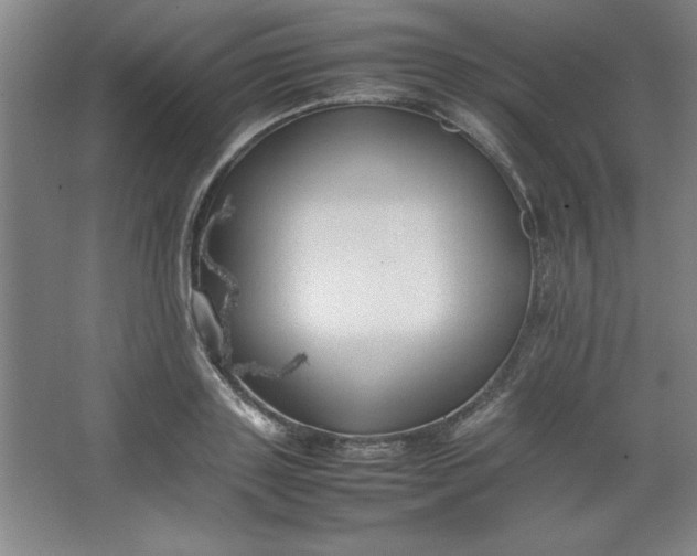 X0000064060843200602101528