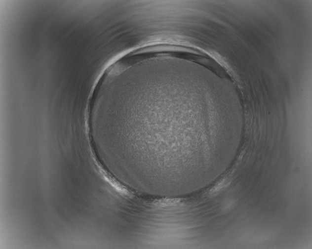 X0000064060846200602101528