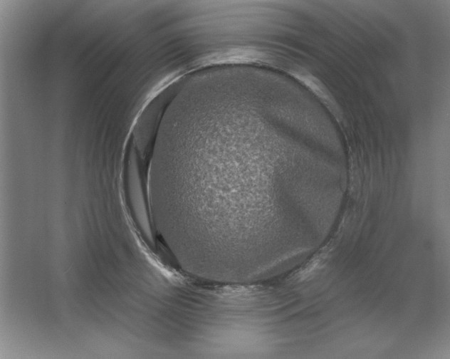 X0000064060850200602101528
