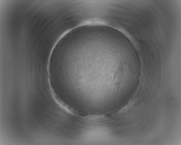 X0000064060864200602101528