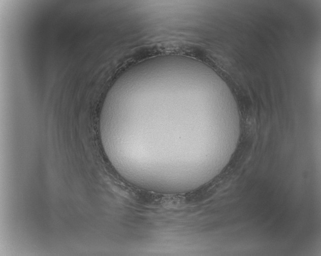X0000064060865200602101528