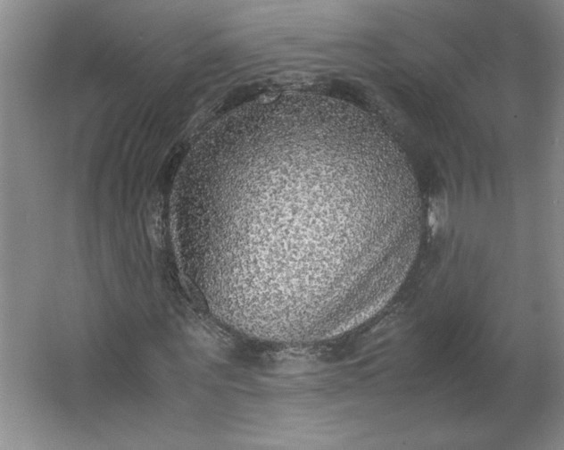 X0000064060867200602101528