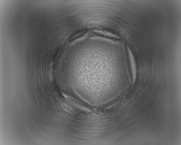 X0000064060868200602101528