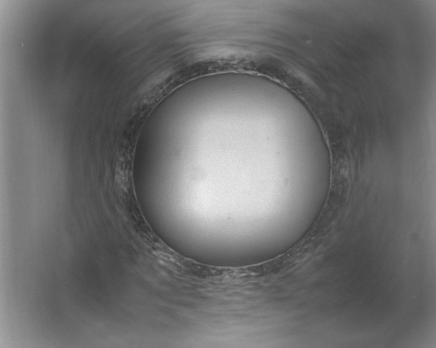 X0000064060869200602101528