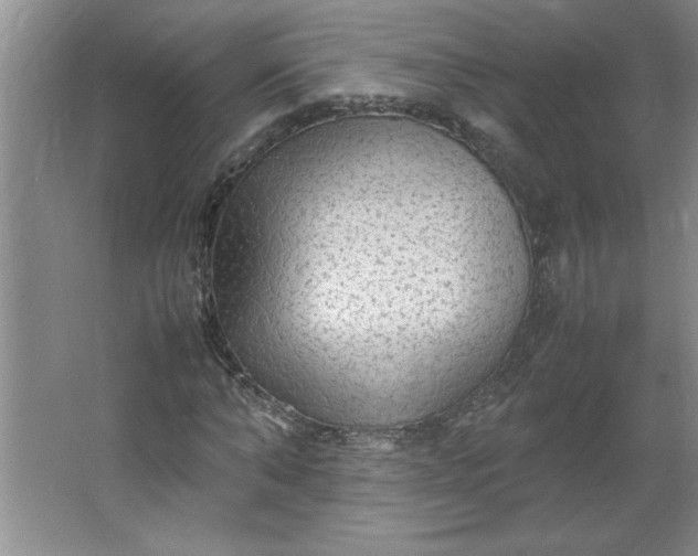 X0000064060870200602101528