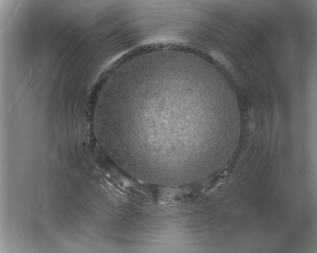 X0000064060872200602101527