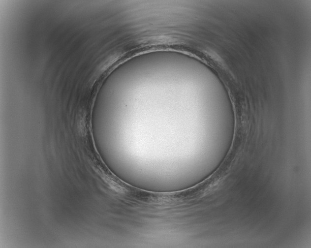 X0000064060873200602101527